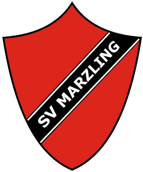 SVM Logo